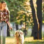 Dog Board & Train in Los Angeles