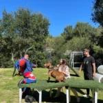 How to Choose the Best Dog Boarding Facility in Los Angeles