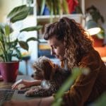 Why Dog Daycare Helps Behavior and Confidence