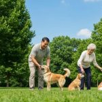 Essential Techniques for Beginner Dog Training in Los Angeles