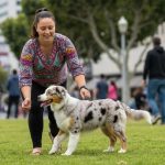 Discover Secrets to Effective Dog Training in LA
