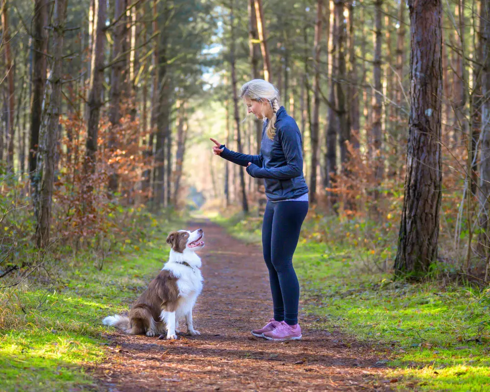 local-vs-online-dog-training-los-angeles Dog trainer outdoors comparing local dog training versus online training in Los Angeles