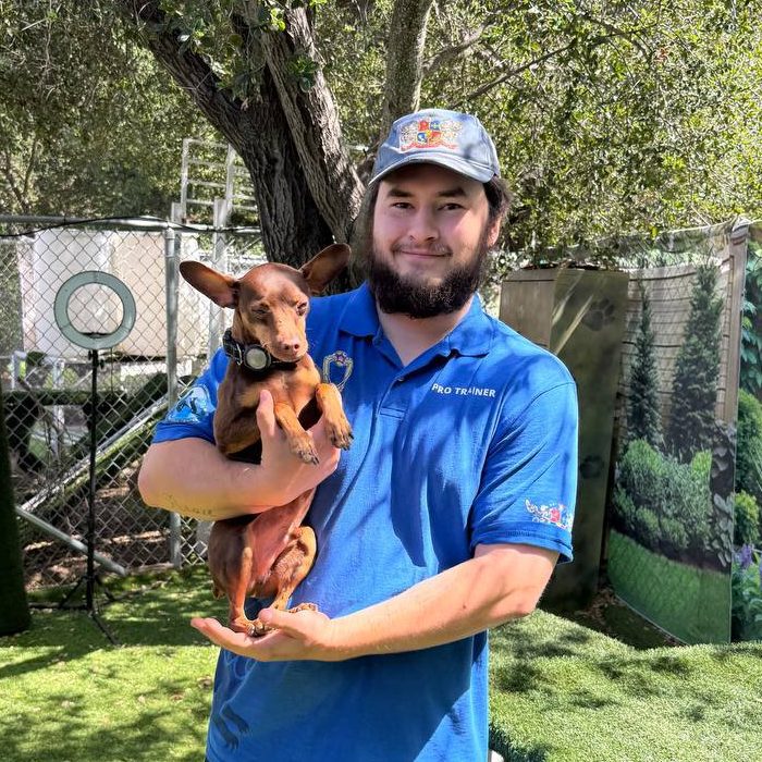 certified-dog-trainer-topanga-la Dog trainer with trained dog at Topanga Pet Resort in Los Angeles