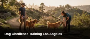 Obedience Dog Training in Los Angeles